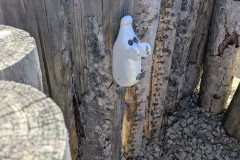 PXL_20260526_074544628