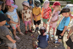 PXL_20260526_082126332