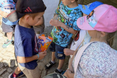PXL_20260526_082202325