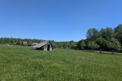 PXL_20260526_085519198