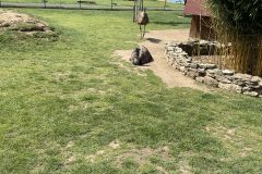 IMG_3397