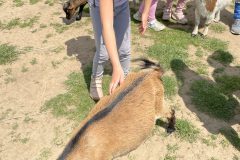 IMG_3426