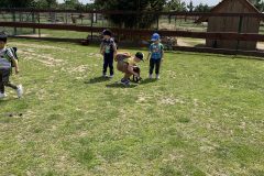 IMG_3442