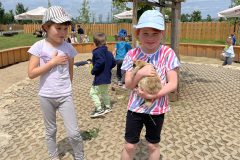 IMG_3590