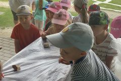 IMG_4748