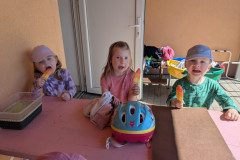PXL_20250429_084806256