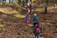 88175a54-3cd0-485f-b9cb-f612ee844669