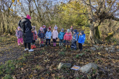 PXL_20251106_085617520