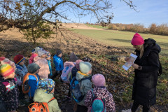 PXL_20251106_085653608