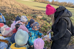 PXL_20251106_085710792