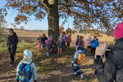 PXL_20251106_090326570