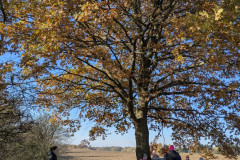 PXL_20251106_090342024