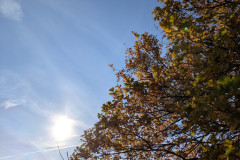 PXL_20251106_090352092