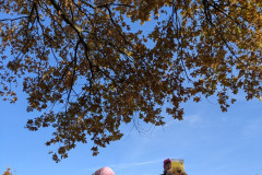 PXL_20251106_090413176