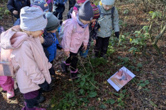 PXL_20251106_090704624