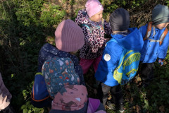 PXL_20251106_091223905