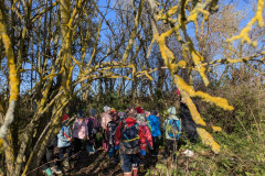 PXL_20251106_091347267