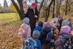 PXL_20251106_092219496