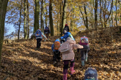 PXL_20251106_095517507