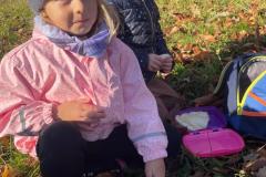 b5bf921e-b24c-4a33-850d-8f7790f2d52e