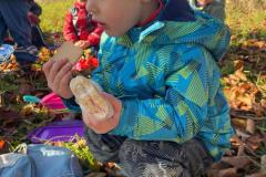 bb815366-597a-4c70-8a75-da215dcc6c0f