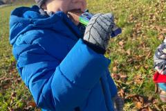 e43b2db3-9f00-4026-aeb7-600dc116cf6e