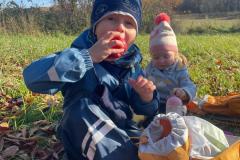 f6dc9739-5f07-4c7e-bdcb-d56ece89e3c8