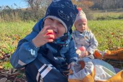 ffe230bc-a238-4fc5-8c24-898ecf727db3