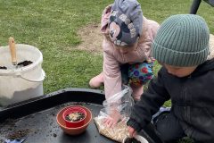 IMG_5698