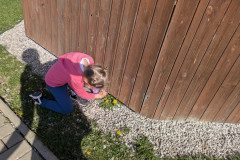 PXL_20250416_073637324