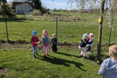 PXL_20250416_073644025