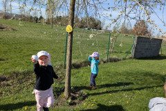 PXL_20250416_073645437