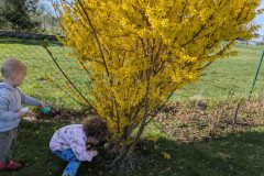 PXL_20250416_073730468