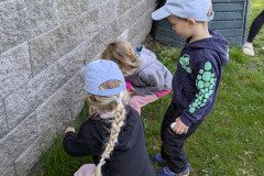 PXL_20250416_074125545