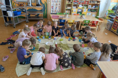 PXL_20250529_073746916