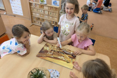PXL_20250623_062717895