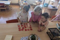 PXL_20250624_062038206