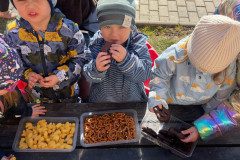 IMG-20250307-WA0009