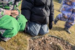 PXL_20250303_093717926