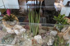 PXL_20250303_104442030