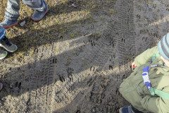 PXL_20250304_085901874