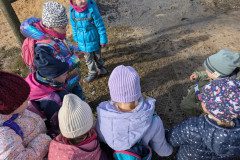 PXL_20250304_085904448
