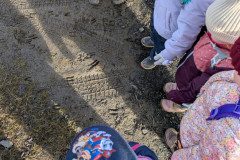 PXL_20250304_085908976