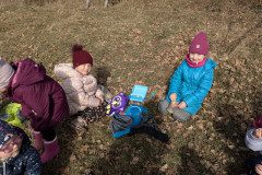 PXL_20250304_092216177