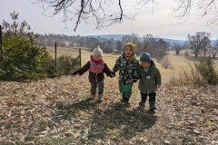 PXL_20250304_101202760