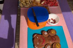 PXL_20250526_080924868