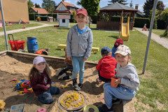 PXL_20250512_091933315