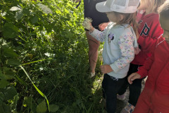 PXL_20250610_074133556.MP_