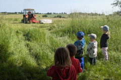 PXL_20250610_080013885
