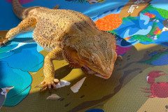 IMG-20240528-WA0000